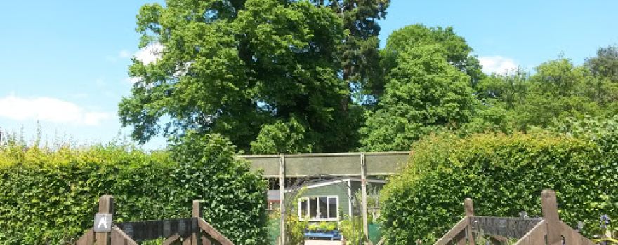 Woodgate Nursery