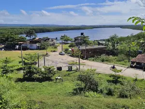 Imperial Escola Agrícola da Bahia (1875)