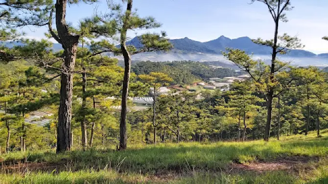 Vườn dâu Su Bơ - Đà Lạt