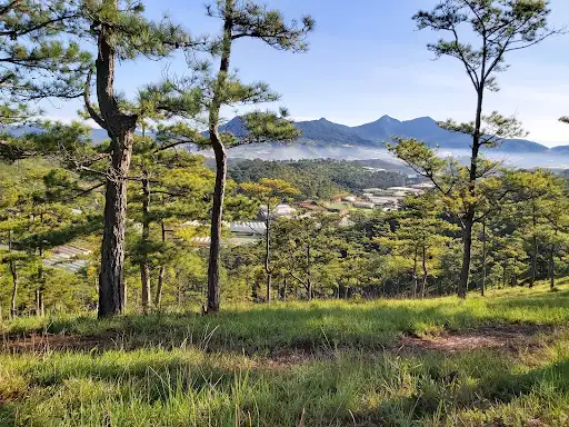 Vườn dâu Su Bơ - Đà Lạt