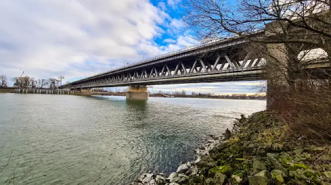 Soví les (Ovsištský ostrov)