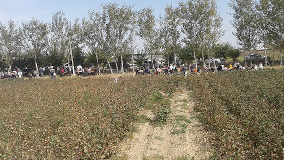 Dustlik District