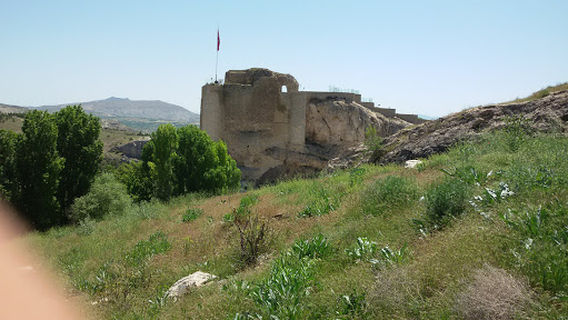Arab Mosque and the Tomb of the Father
