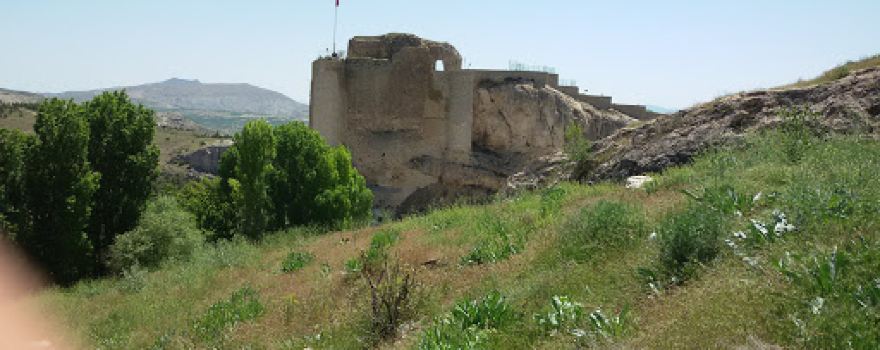 Arab Mosque and the Tomb of the Father