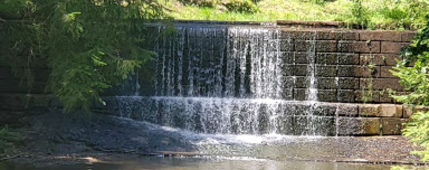 Martin Brook