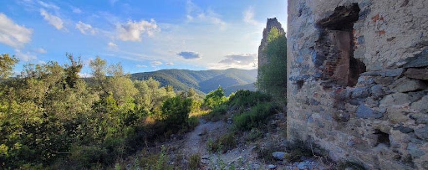 Ruines du Castellu di Covasina