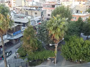 Old Park