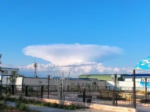 Месторождение Акшабулак. Кэмп.
