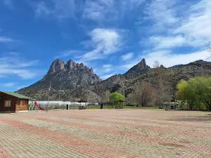 Mihalgazi Belediyesi Yüzme Havuzu Tesisleri