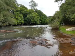 Camping Poço Redondo Damin