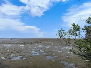 Kawasan Wisata Mangrove Pangkalan Babu