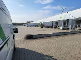 Buurman Pflanzen Niederrhein GmbH - Blumengroßhandel