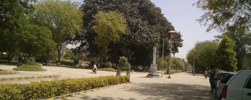 Banyan Tree
