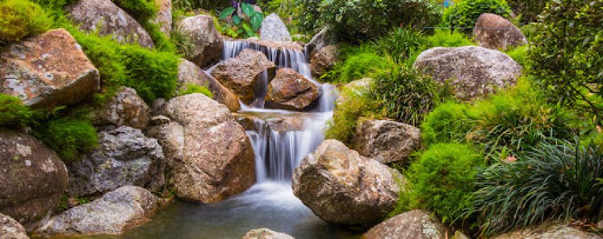 Japanese Garden