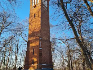 Aussichtsturm Behmshöhe