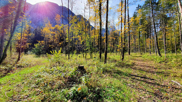 Kinderfreunde Erlebnisdorf Obertraun