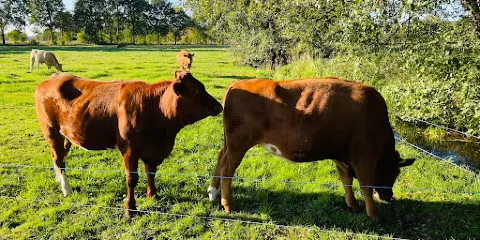 Obere Wümmeniederung