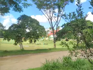 Lapangan Bola Kaki PT.TKA