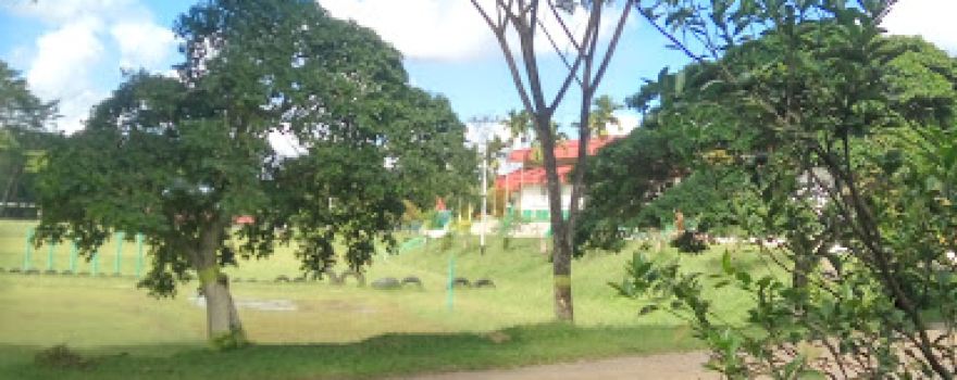 Lapangan Bola Kaki PT.TKA