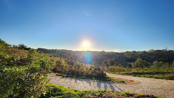 Quinta Dos Capinhas