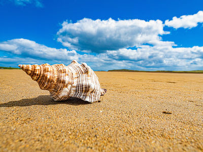 Lacken Strand