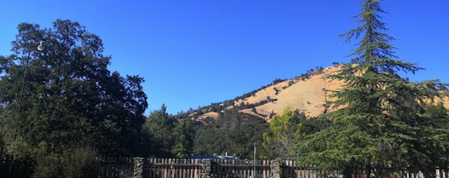 American River Resort