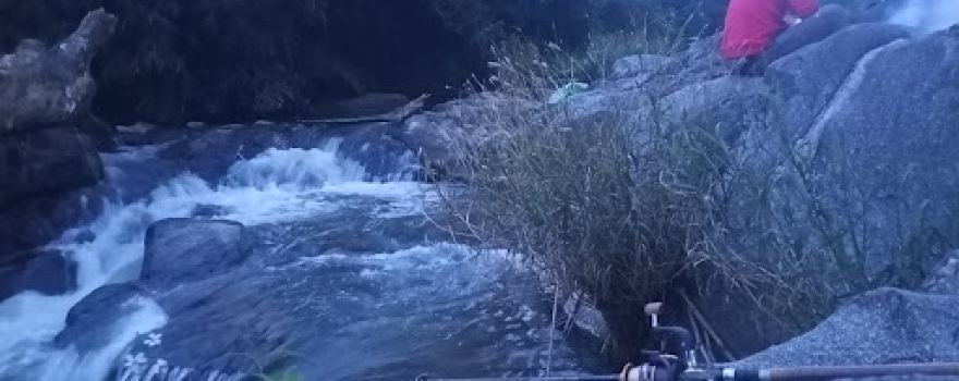 Khu Bảo tồn Ea Sô