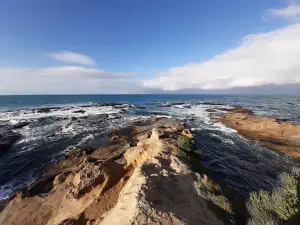 Shag Point Lookout