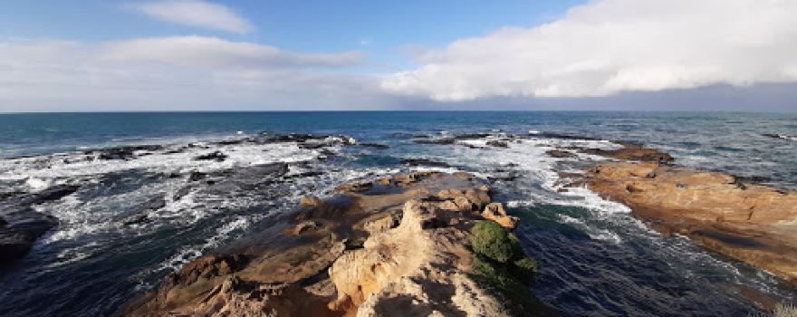 Shag Point Lookout