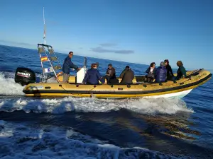 Centro de Buceo El Hierro