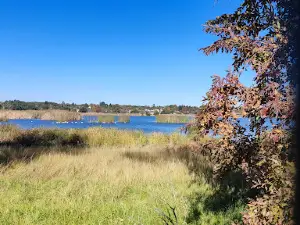 Korsman Bird Sanctuary