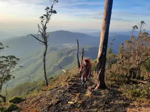 Mount Mutis