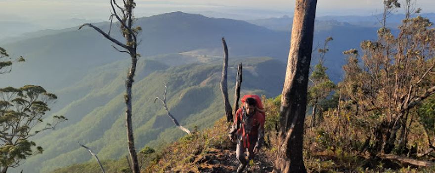 Mount Mutis