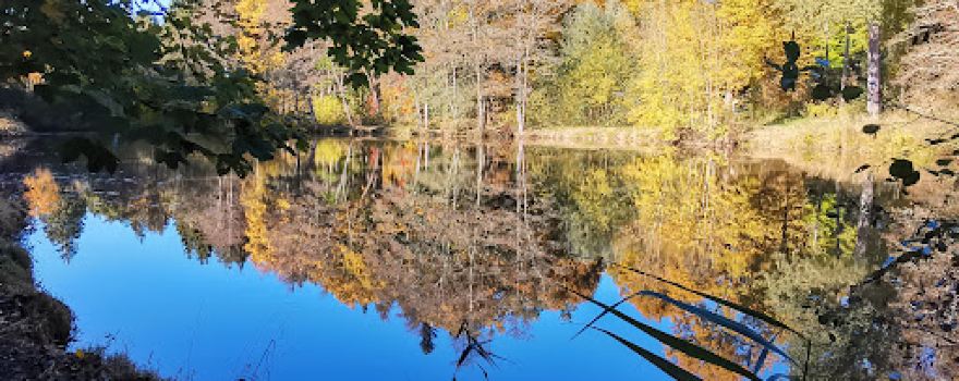 Weltwald Freising Eisweiher Parking