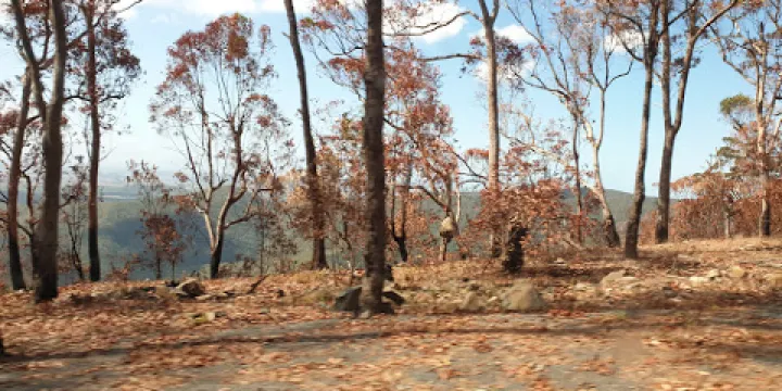 Limestone Creek Conservation Park