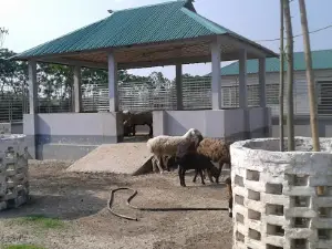 Nilsagor Zoo