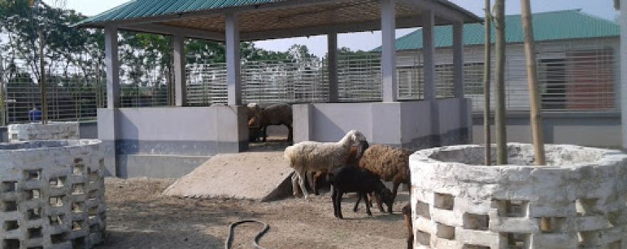 Nilsagor Zoo
