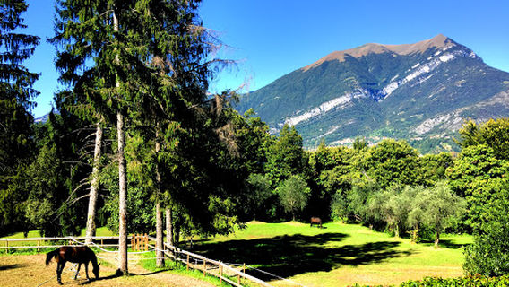 Bellagio