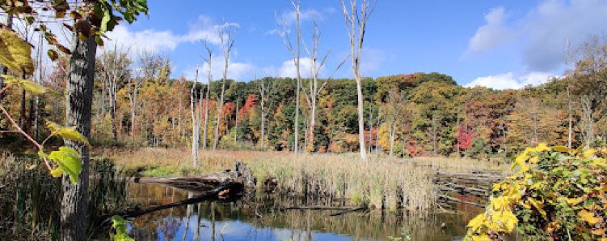 Lagoon Picnic Area