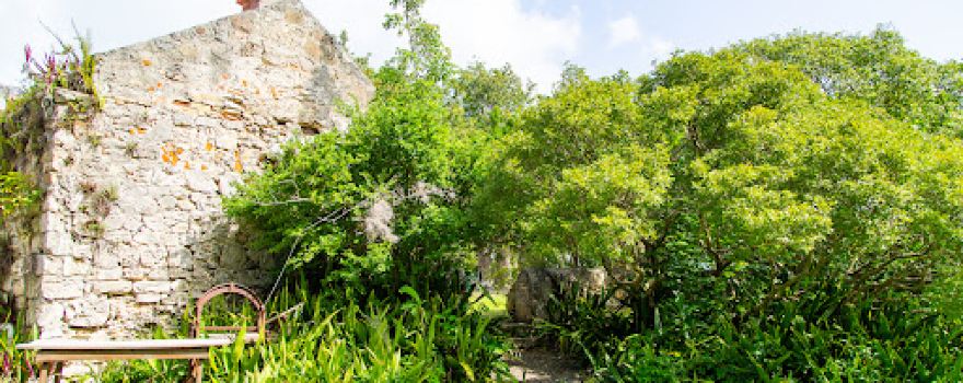 Estate Whim Sugar Mill