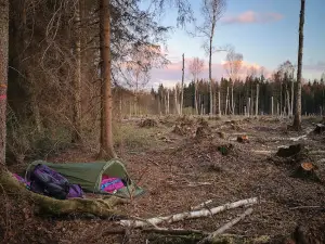 Kazlų Rūdos pažintinis takas