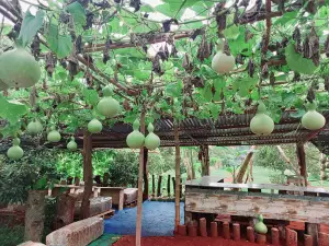 Loong Serm Garden
