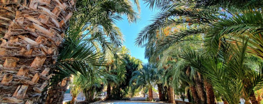 Recinto Ferial El Palmeral