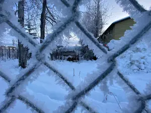 3 Friends Dog Park