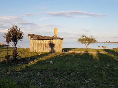 Tika talu