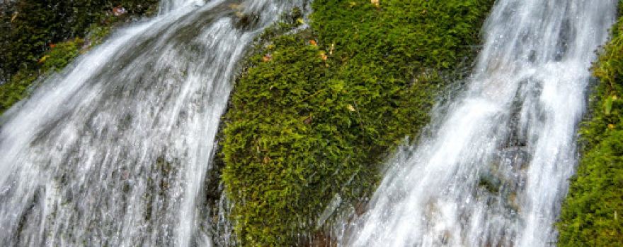 Foamy Valley Waterfall