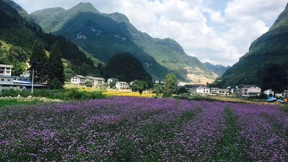 Dashahe Yanlao Culture International Resort