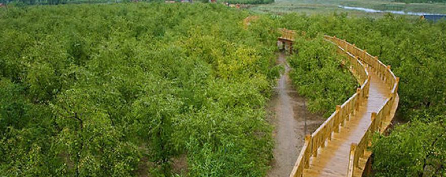 Xiawa Ecology Tourism Park