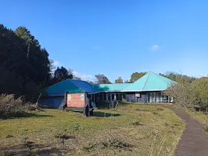 Cerro Ñielol