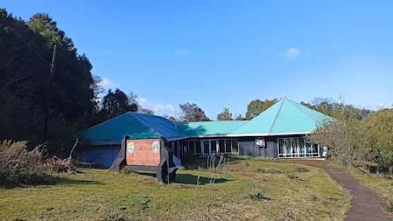 Cerro Ñielol